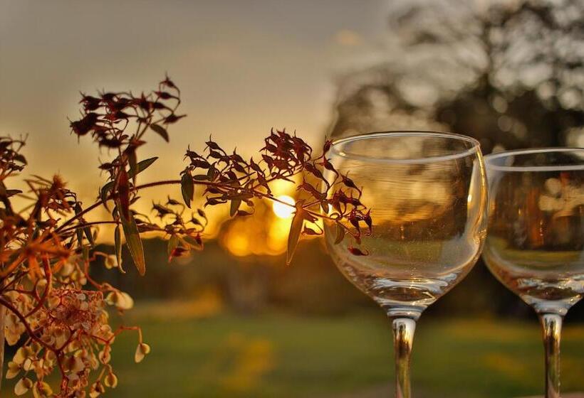 استودیو استاندارد با تخت کینگ, Sunset Monteverde