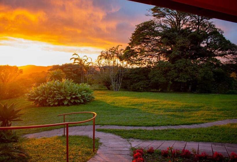 استودیو استاندارد با تخت کینگ, Sunset Monteverde