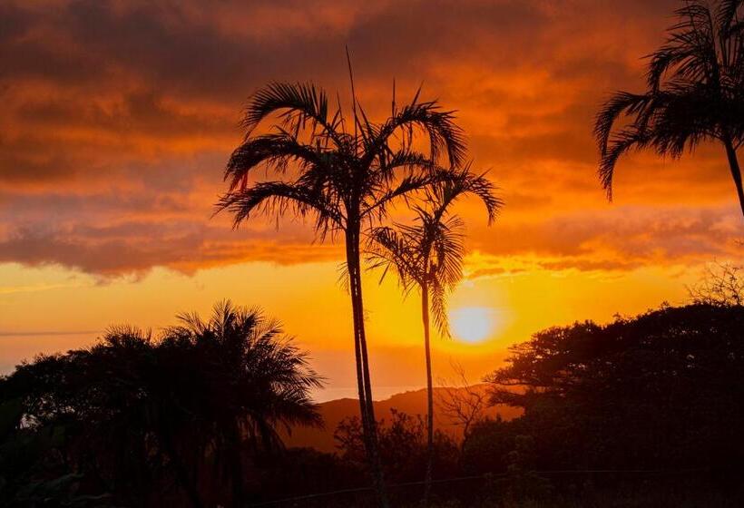 اتاق استاندارد با چشمانداز دریا, Sunset Monteverde