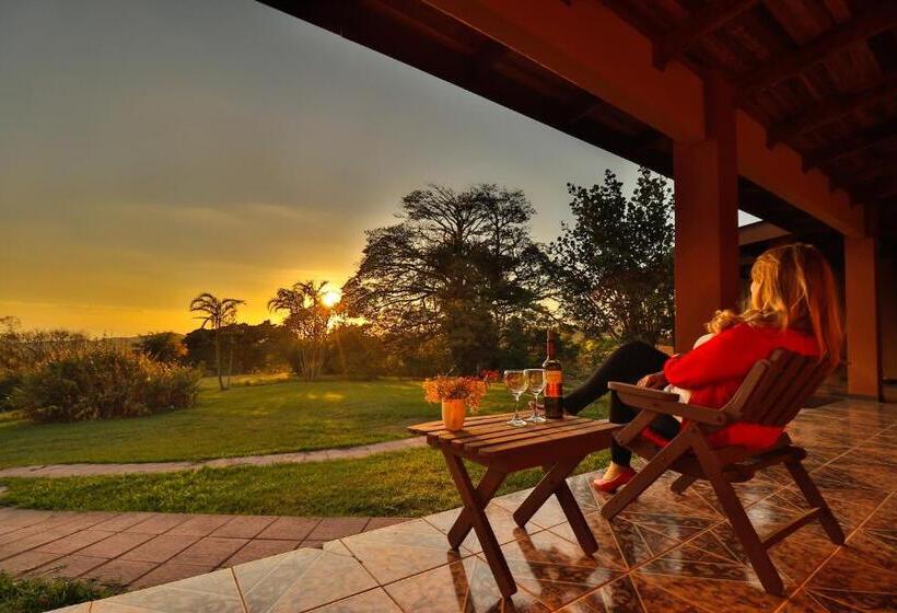آپارتمان 1 خوابه با چشمانداز دریا, Sunset Monteverde