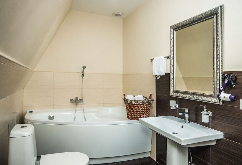 디럭스 룸, Mini Hotel Ryleev