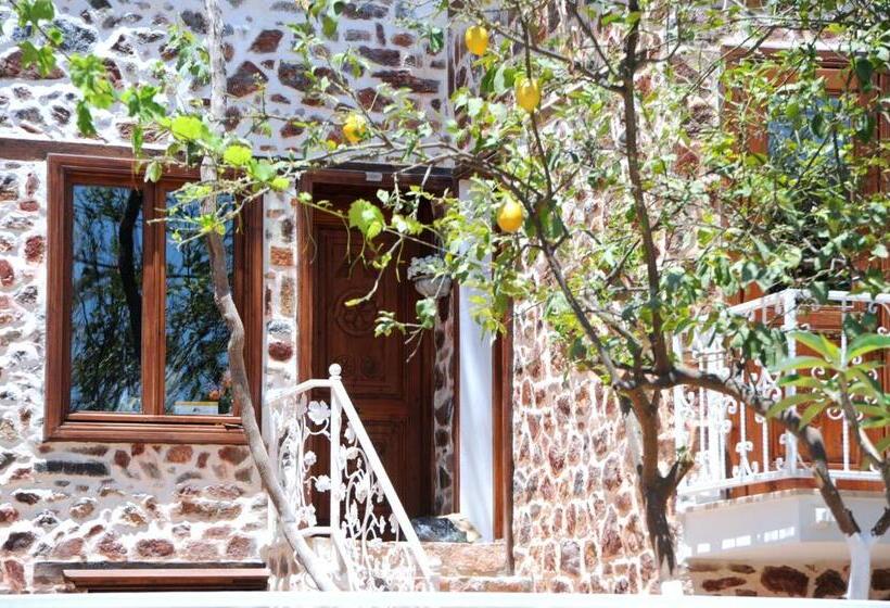اتاق استاندارد, Lemon Villa Hotel   Adult Only