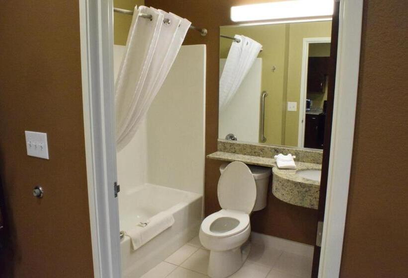 Студия Стандарт, Microtel Inn And Suites Pecos