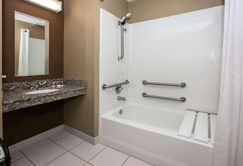 Люкс Адаптированный для Инвалидов, Microtel Inn And Suites Pecos