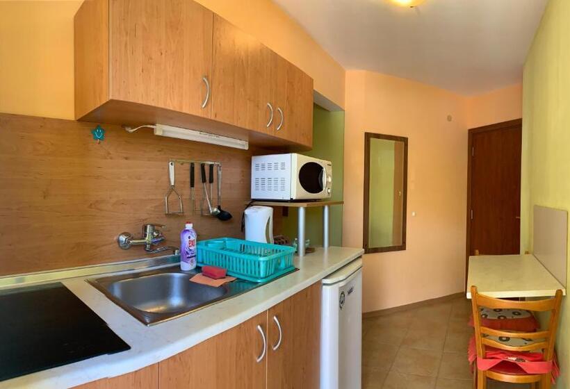 Студия Стандарт, Guest House “olesya”
