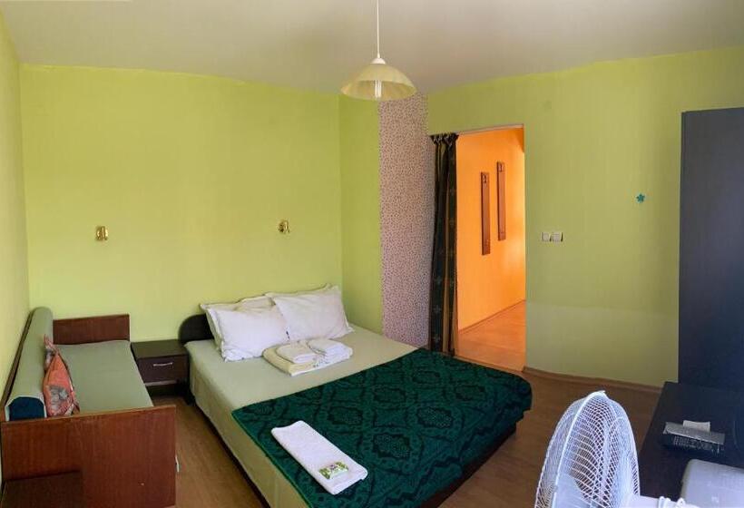 Студия Стандарт, Guest House “olesya”