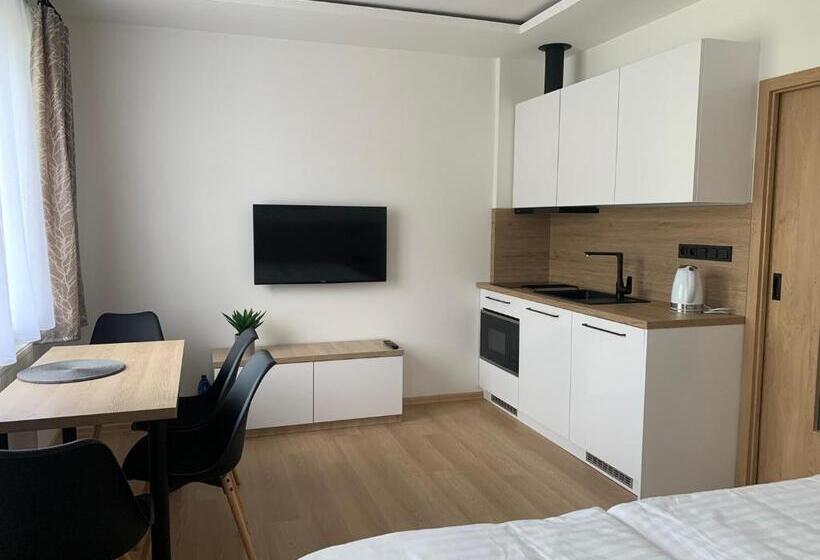 스탠다드 룸, Wellness & Spa Apartments Lipno   Frymburk