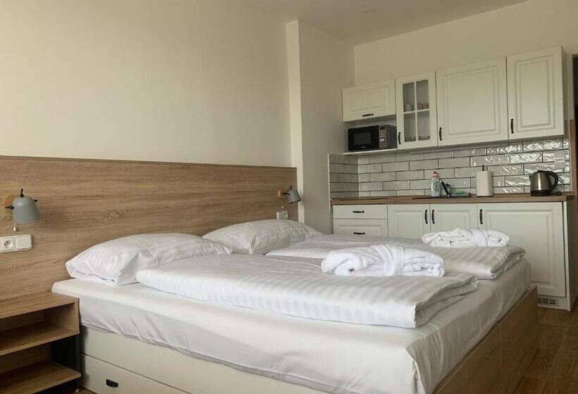 Номер Стандарт Вид на Озеро, Wellness & Spa Apartments Lipno   Frymburk