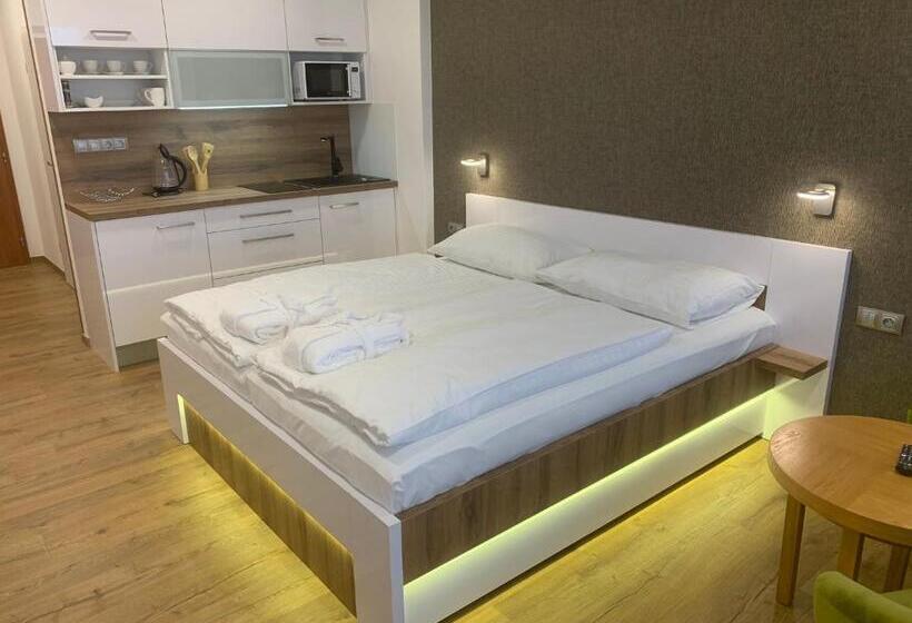 Номер Deluxe, Wellness & Spa Apartments Lipno   Frymburk