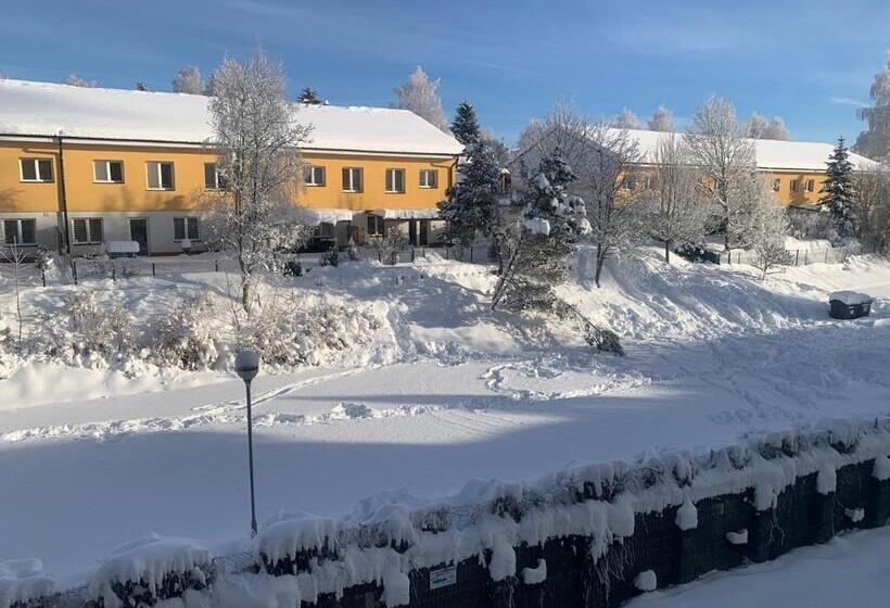 Апартаменты 2 Спальни, Wellness & Spa Apartments Lipno   Frymburk