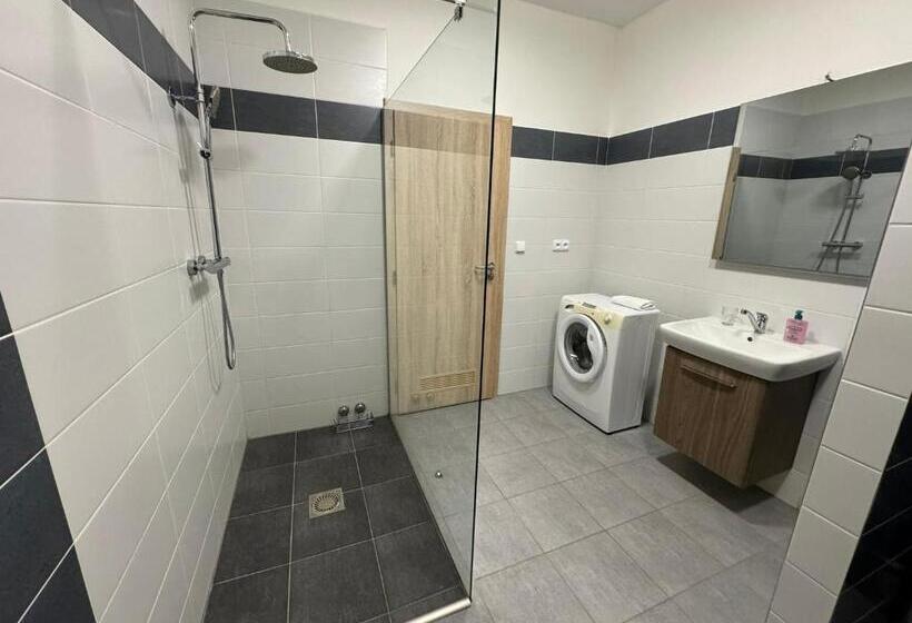 Апартаменты 1 Спальня, Wellness & Spa Apartments Lipno   Frymburk