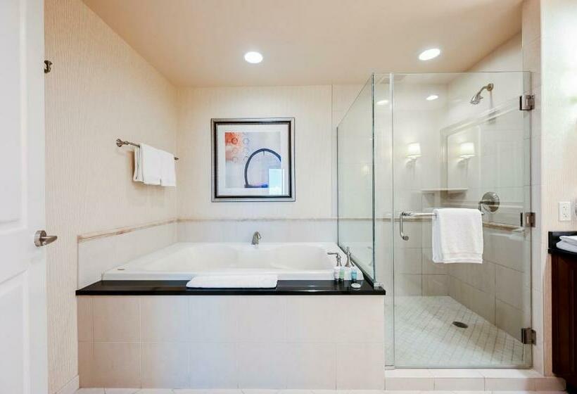 استودیوی استاندارد, Stripviewsuites At Signature