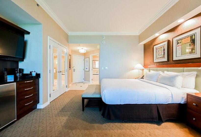 استودیوی استاندارد, Stripviewsuites At Signature
