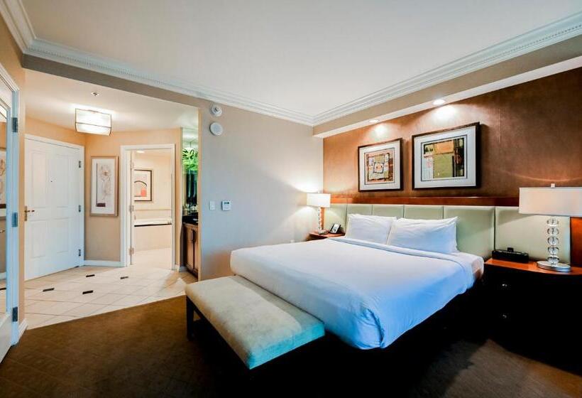 استودیوی استاندارد, Stripviewsuites At Signature