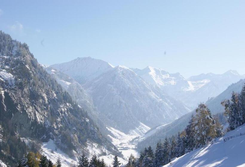 آپارتمان 1 خوابه, Bauerndörfl Hüttschlag