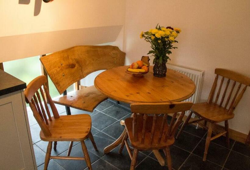 스탠다드 룸 킹사이즈 침대, James John Hamilton House And Backpacker Hostel