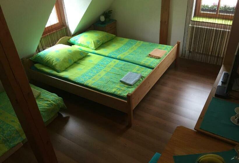 Семейный Номер, Zirndorf Gästehaus