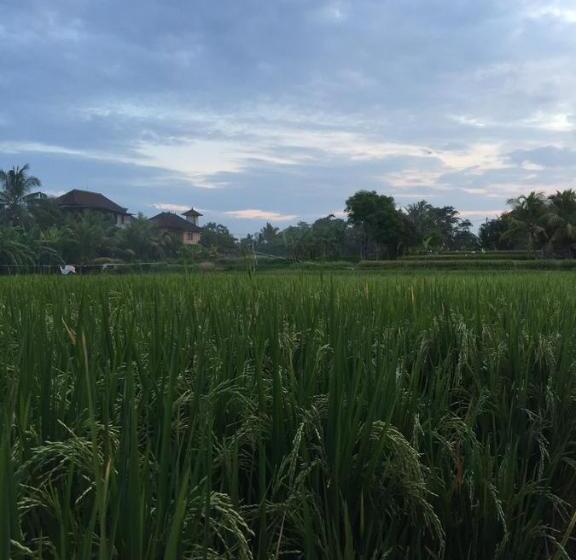 침실 2개 빌라, Pondok Buda Merta