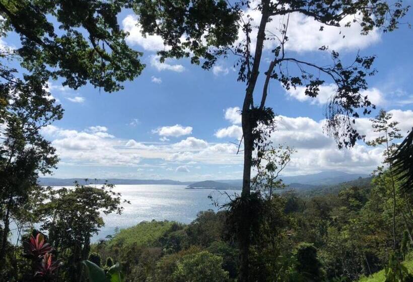 디럭스 룸 호수 전망, La Ceiba Tree Lodge