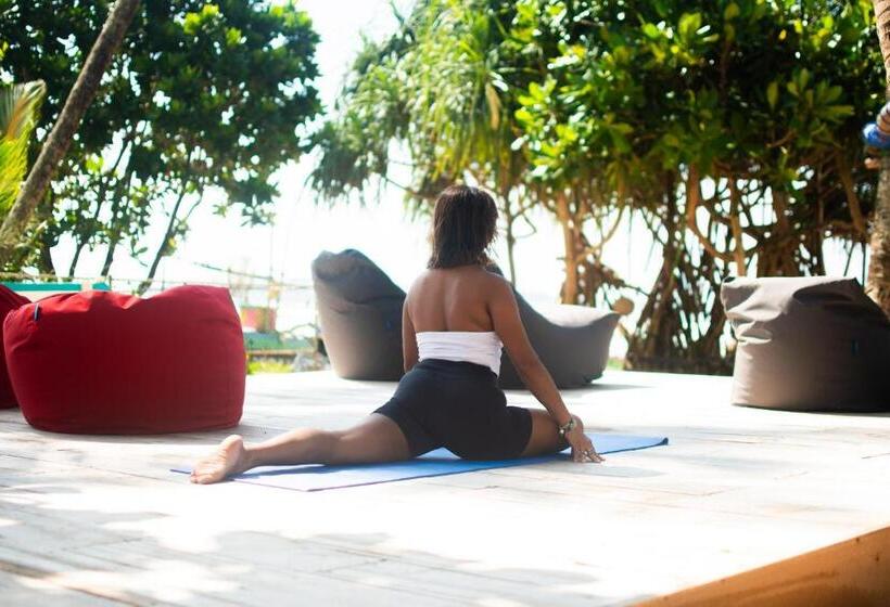 Номер Стандарт Вид на Сад, The Green Rooms Surf & Yoga Camp   On The Beach   Prime Location Renovated 2024