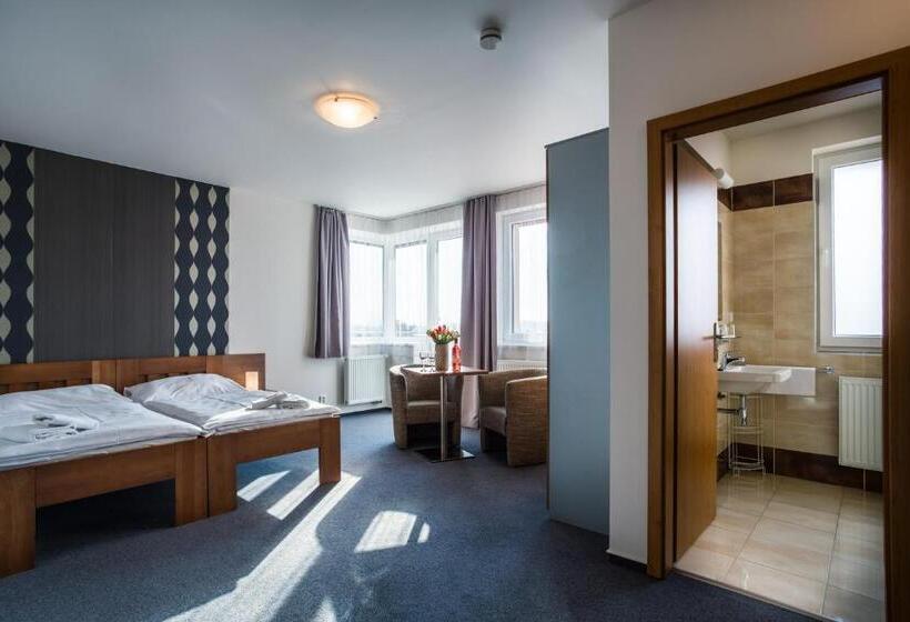 Pokój Standard, Garni Hotel Třeboň
