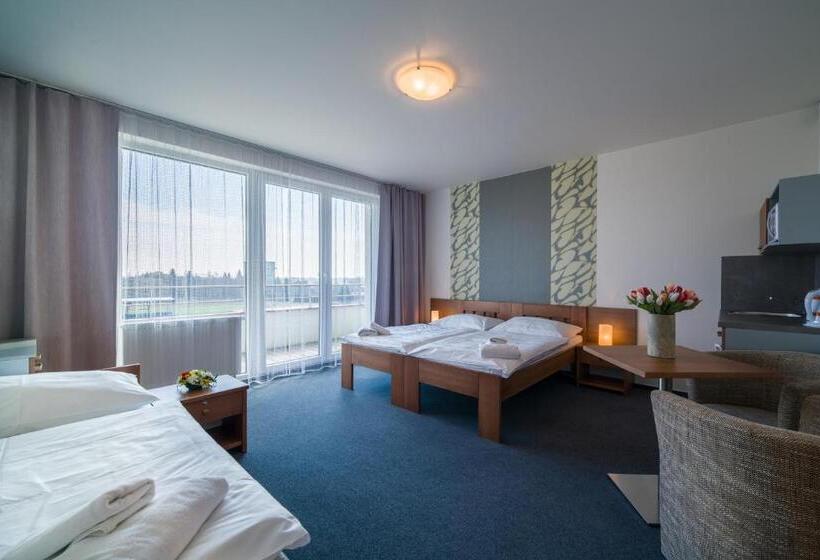 Номер Стандарт Трехместный, Garni Hotel Třeboň