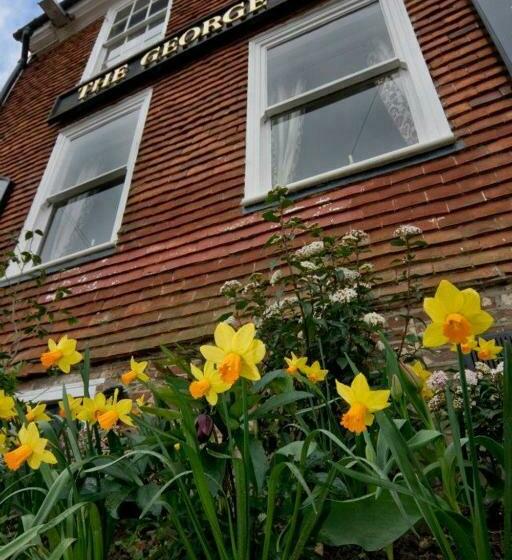 수피리어 룸, The George Inn