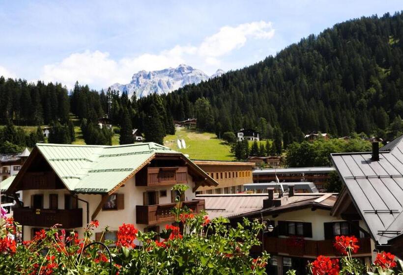 اتاق خانوادگی, Dolomiti Hotel Cozzio