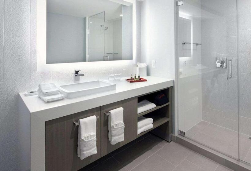 سوییت, Hyatt Washington Dc/convention Center