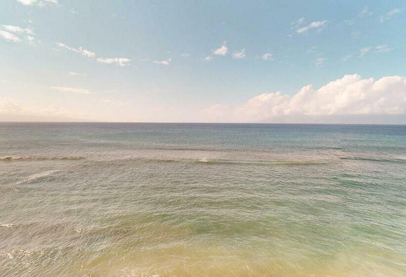 Standart Stüdyo, Maui Kai 507