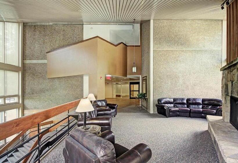استودیوی استاندارد, Mp522 Mountain Plaza Hotel Room