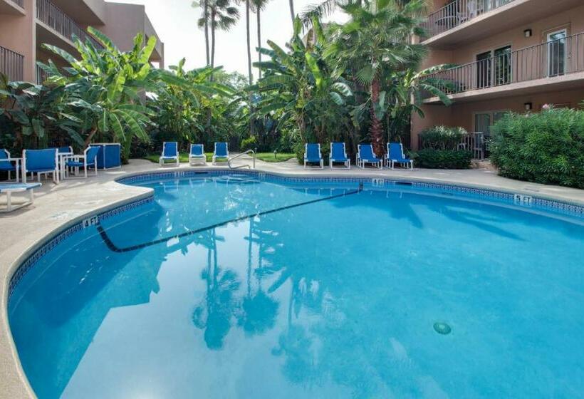 Апартаменты 2 Спальни, Palm Tree Escape