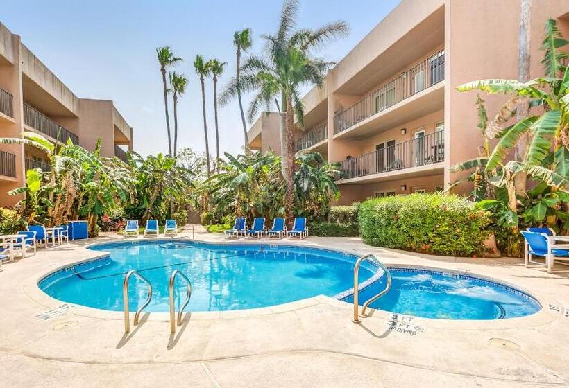 Апартаменты 2 Спальни, Palm Tree Escape