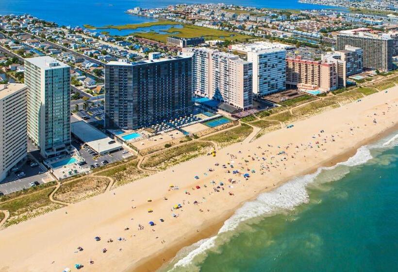 استودیوی استاندارد با چشم‌انداز دریا, Golden Sands Xii