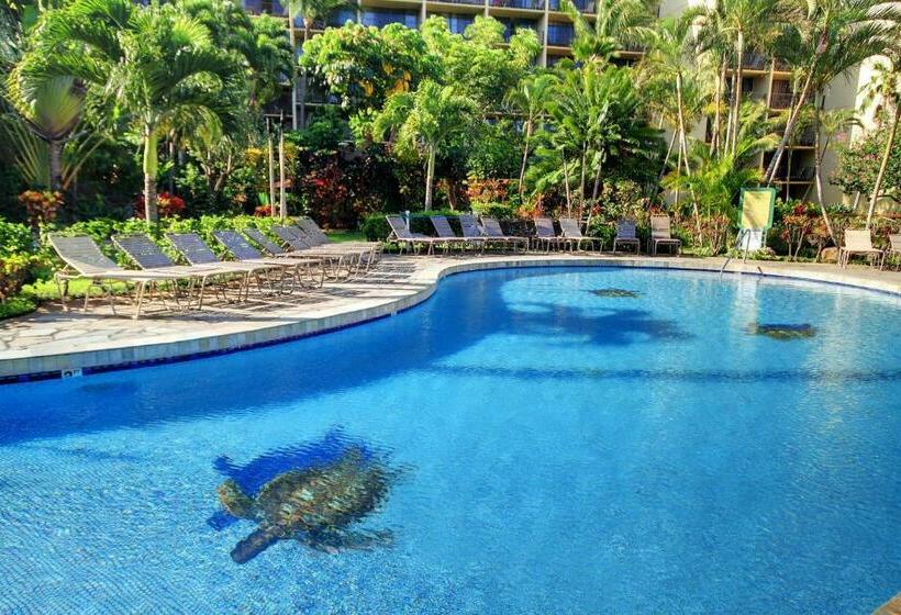 Апартаменты 1 Спальня, Kaanapali Shores 706