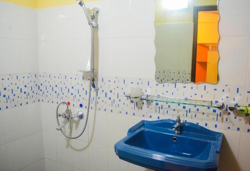 Номер Стандарт, Saasha City