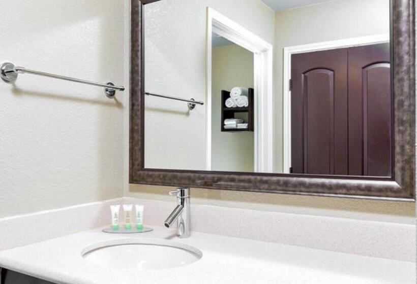 Люкс Адаптированный для Инвалидов, Staybridge Suites College Station, An Ihg