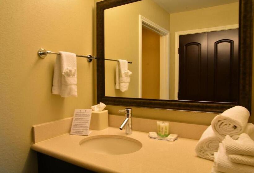 Люкс Адаптированный для Инвалидов, Staybridge Suites College Station, An Ihg