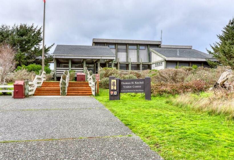 Студия Стандарт, Berry Glen Redwood Park Loft