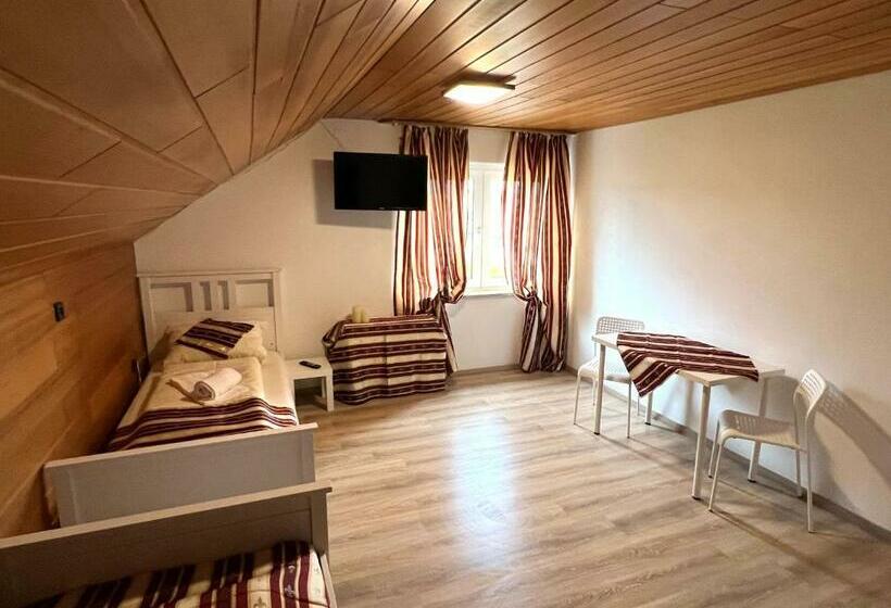 Номер Deluxe Одноместный, Gästehaus Schwabach