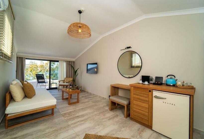 带海景的复工套房, Ansira Fethiye