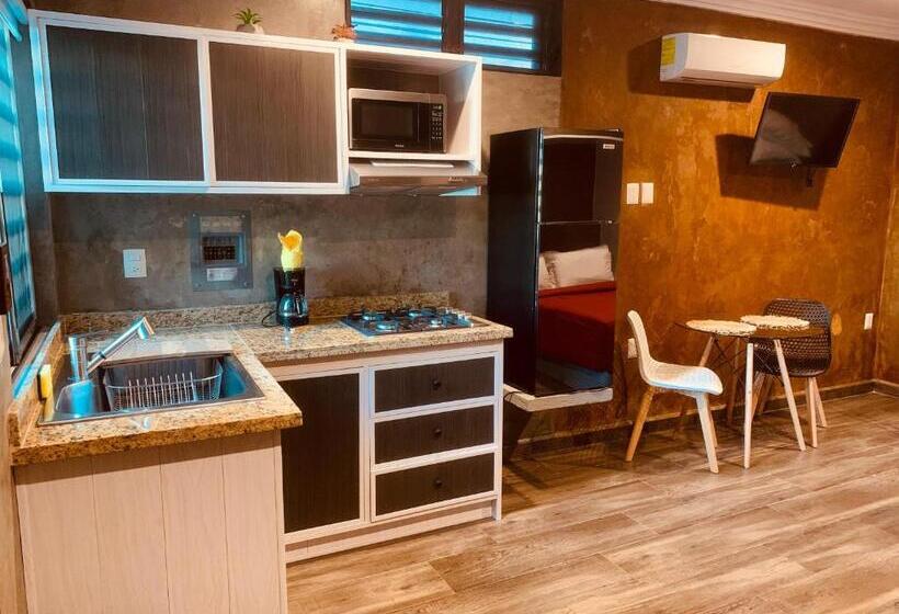 דירת חדר, Ala Residencias