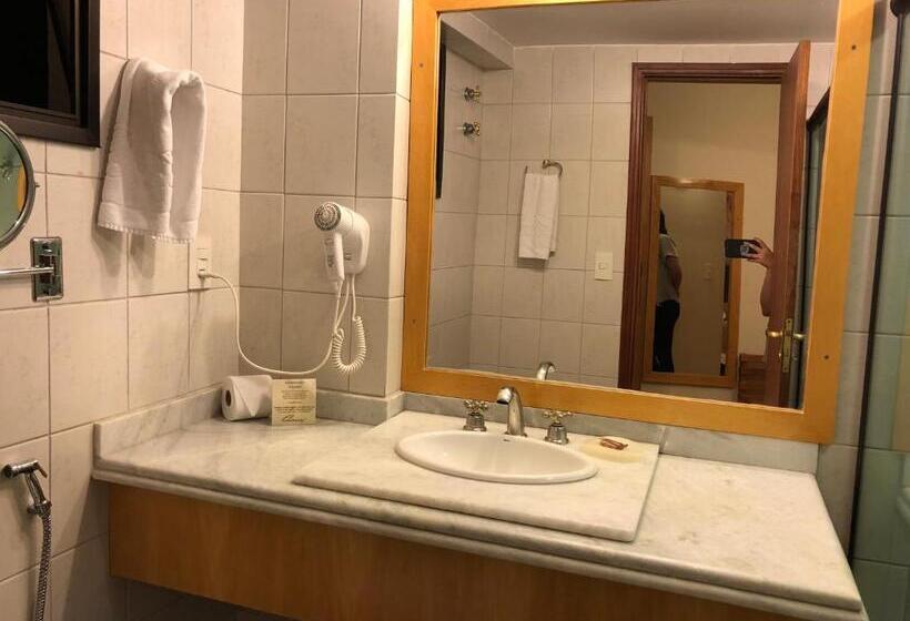 Номер Deluxe Одноместный, Gran Continental Hotel Taubaté