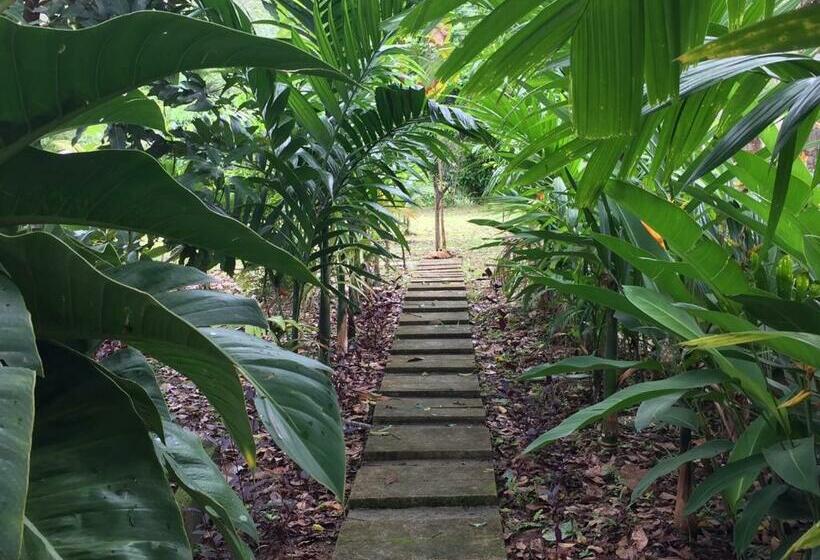 스탠다드 룸, Baansuan Suksangob Farm Stay
