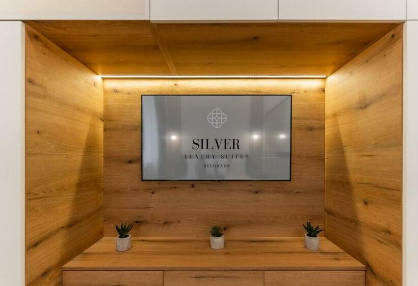 شقة ديلوكس غرفة واحدة, Silver Luxury Suites