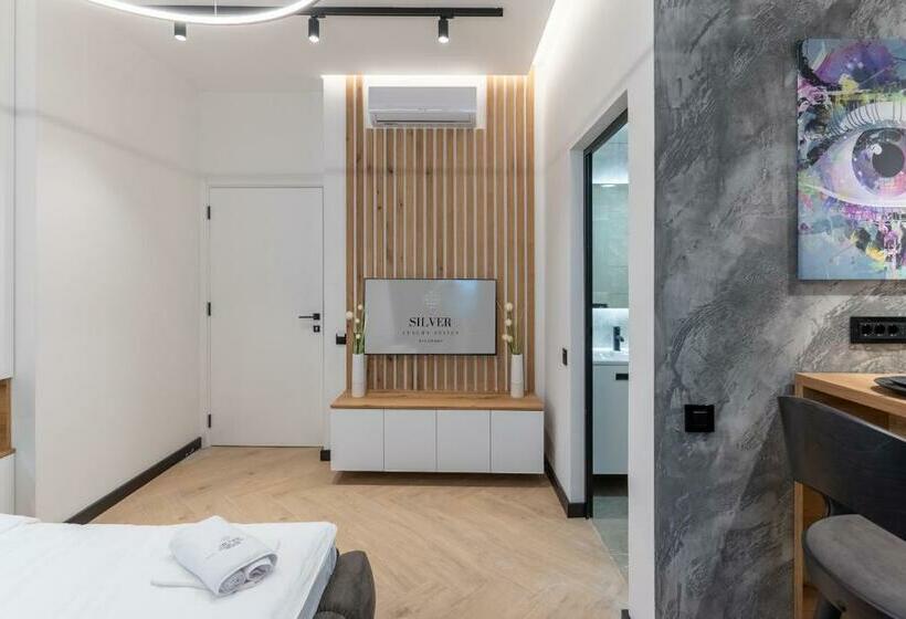 غرفة سوبيريور, Silver Luxury Suites