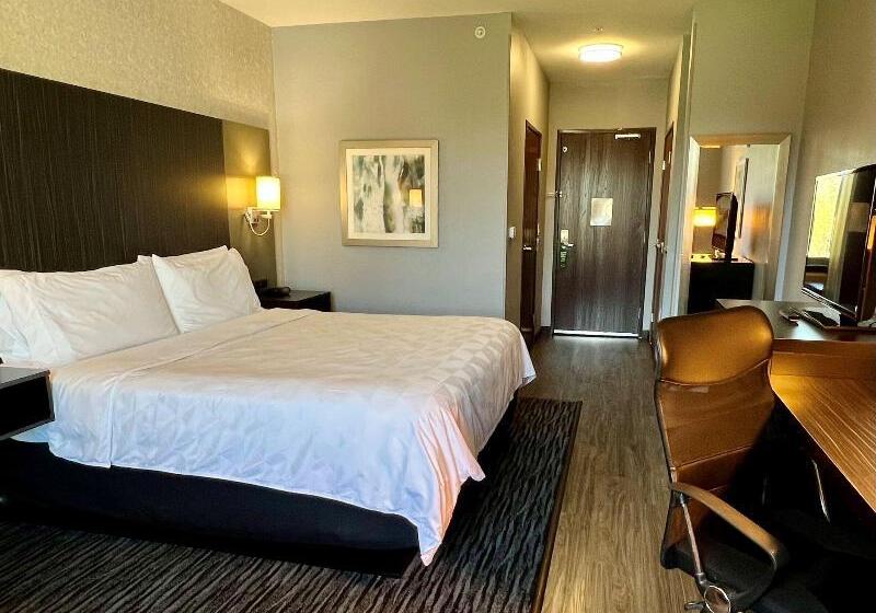 장애인을 위한 스탠다드 룸, Holiday Inn Carlsbad/san Diego, An Ihg