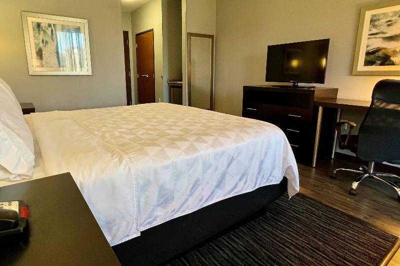 غرفة قياسية سرير كينج لذوى الإحتياجات الخاصة, Holiday Inn Carlsbad/san Diego, An Ihg