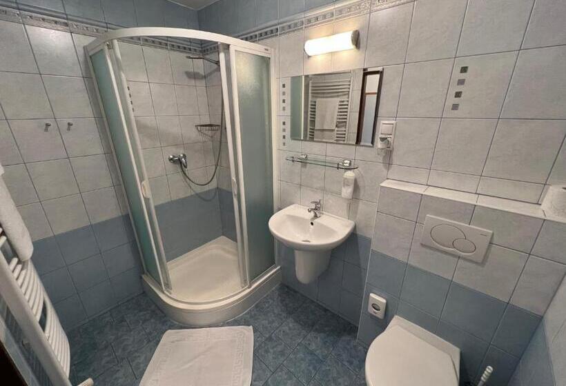 Трехместный Номер Комфорт, Wellness Penzion U Grygarů