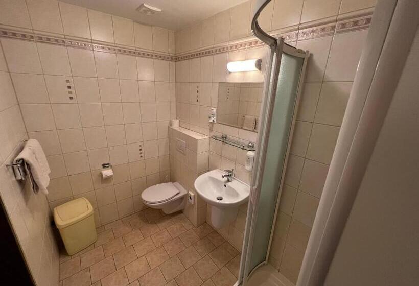 Номер Комфорт, Wellness Penzion U Grygarů